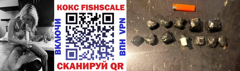 COCAIN FishScale  мега зеркало  Новая Ладога  где купить наркоту 