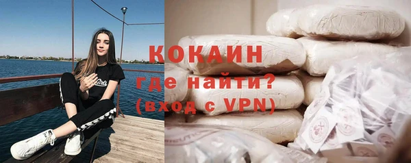 амф Новозыбков