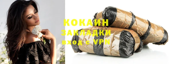 амф Новозыбков