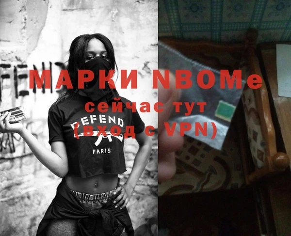 амф Новозыбков