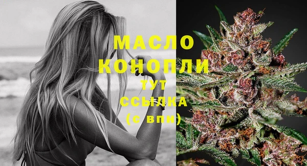 амф Новозыбков