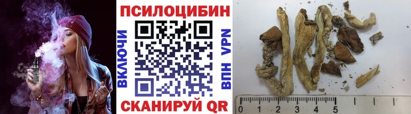 Псилоцибиновые грибы мухоморы  маркетплейс наркотические препараты  Новая Ладога 