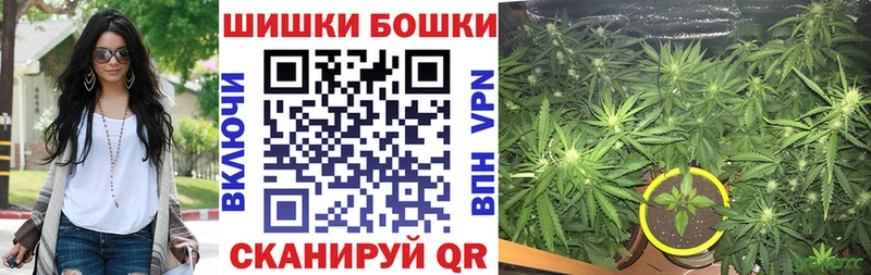 Марихуана Bruce Banner  Новая Ладога 